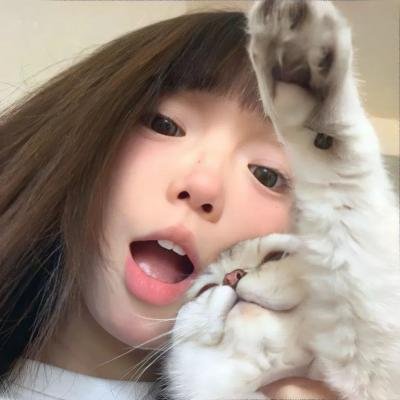 布公仔之金银岛