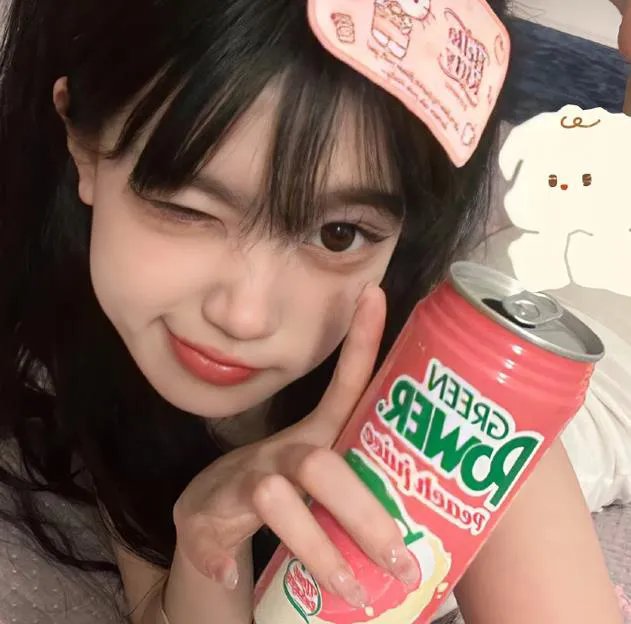 使君有妇