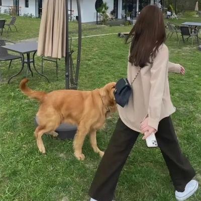 同心兄弟